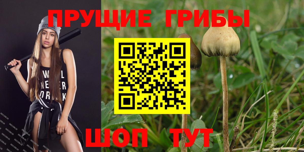 Галлюциногенные грибы прущие грибы  Вход с VPN  Зерноград 